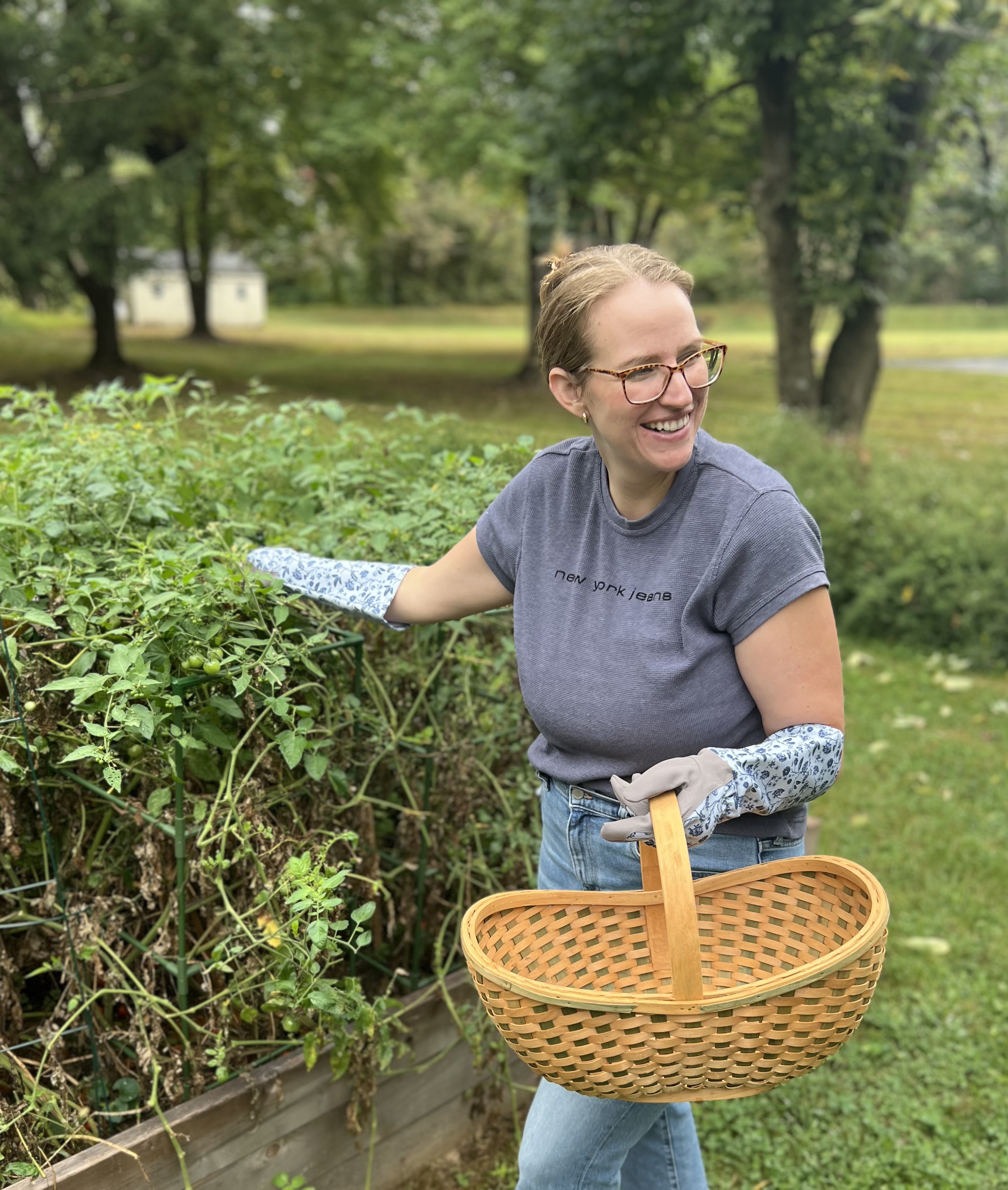 woman holding basket picking tomatoes outside in garden