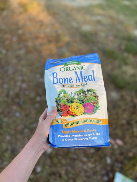 bone meal natural organic plant fertilizer for flower bulbs