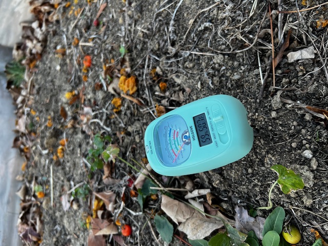 soil tester inserted in tomato garden raised bed