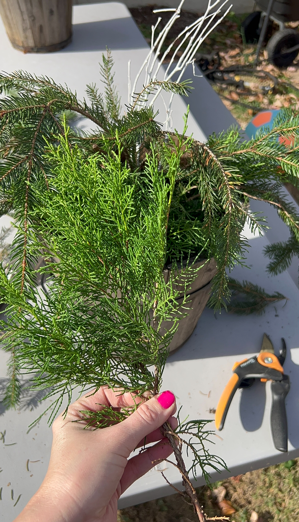 woman adding evergreen clipping to winter porch pot