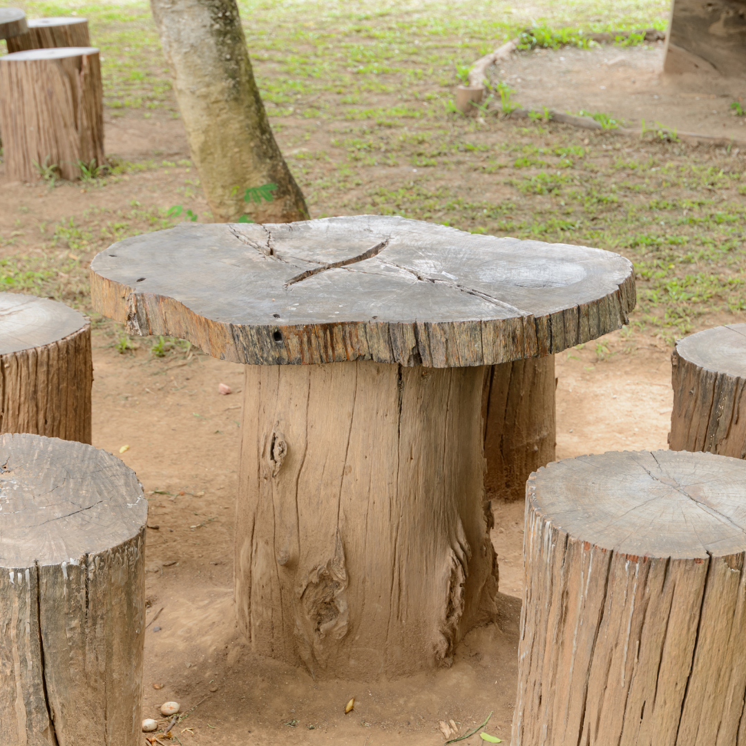 Wooden tree stump table with tree stump chairs outside in garden